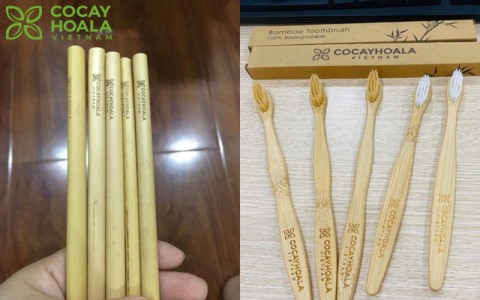Cỏ cây hoa lá - Sản phẩm đến từ thiên nhiên